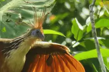 桑多瓦尔湖 4 天 3 夜游