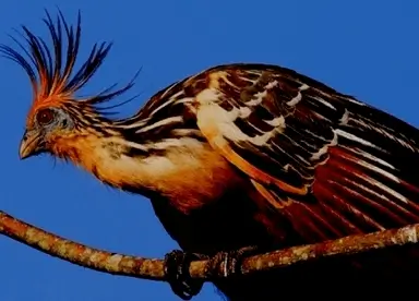 坦博帕塔露营探险之旅5天4夜