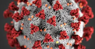 COVID-19-ANTIGENTEST FÜR REISENDE IN AREQUIPA