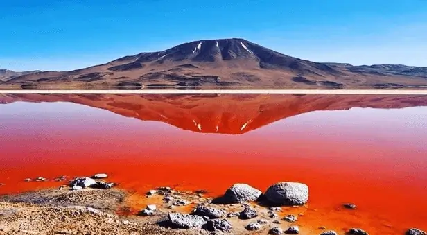 uyuni-lagoon-red
